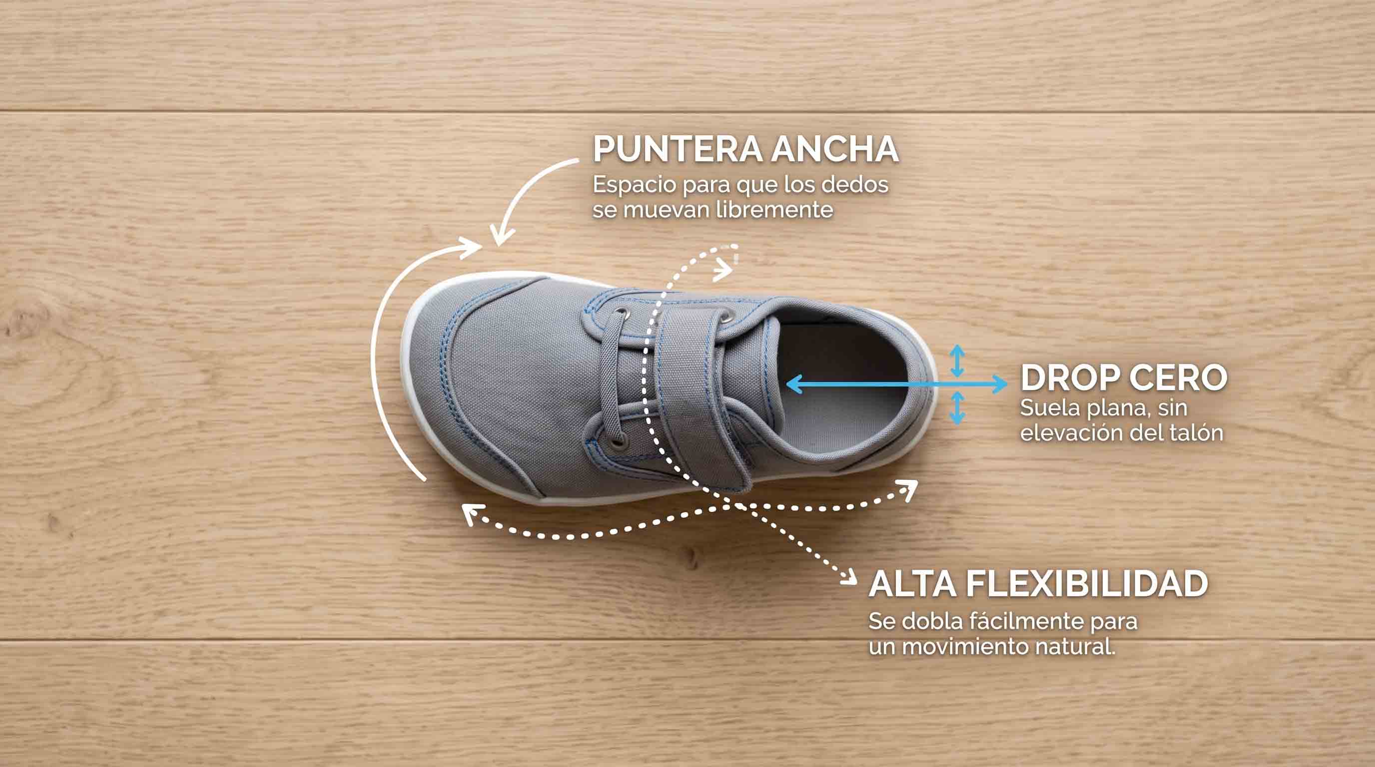 Características esenciales que debe tener un buen zapato respetuoso para niños Las 5 características del calzado respetuoso infantil: puntera ancha, suela flexible, drop cero, ligero y sin contrafuerte